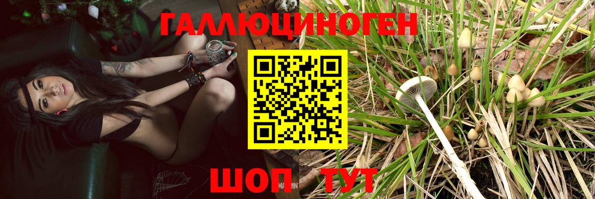 Красноярск  Псилоцибиновые грибы прущие грибы  Вход с VPN 